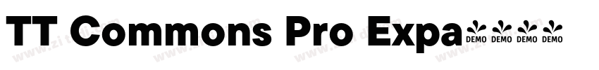 TT Commons Pro Expa字体转换